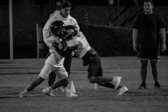 IMG-17